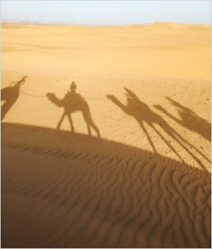 Chegaga Aventure,private tours from Marrakech Chegaga Aventure,private tours from Marrakech