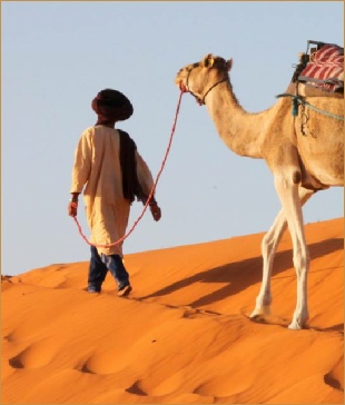 private 5 days tour from Tangier to Merzouga,Sahara excursions private 5 days tour from Tangier to Merzouga,Sahara excursions