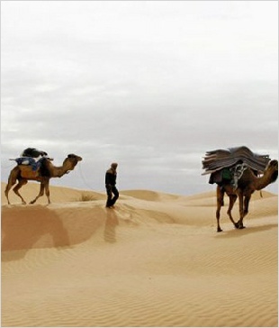 Chegaga Aventure,private tours from Marrakech Chegaga Aventure,private tours from Marrakech