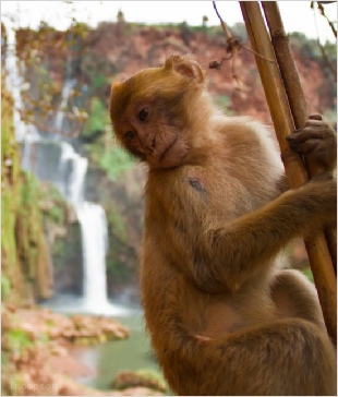 Chegaga Aventure,private tours from Marrakech Chegaga Aventure,private tours from Marrakech