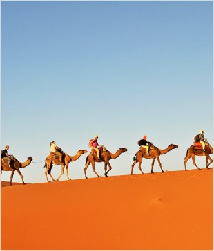 1 week around Morocco tour from Marrakech,private Marrakesh tour to Merzouga 1 week around Morocco tour from Marrakech,private Marrakesh tour to Merzouga