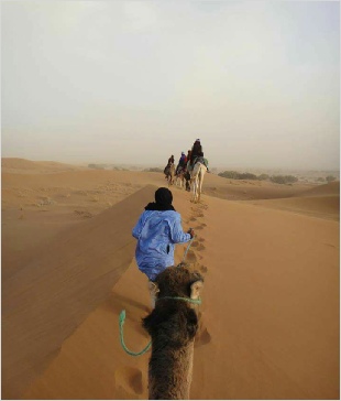 Chegaga Aventure,private tours from Marrakech Chegaga Aventure,private tours from Marrakech