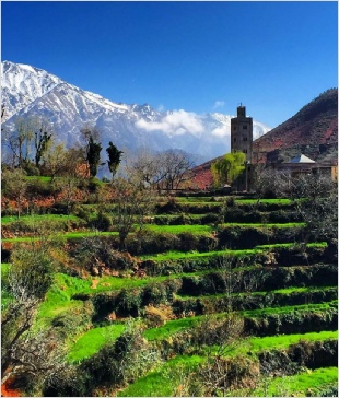 Chegaga Aventure,private tours from Marrakech Chegaga Aventure,private tours from Marrakech