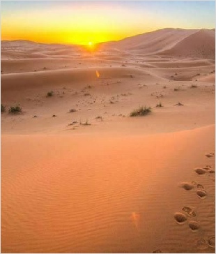 Chegaga Aventure,private tours from Marrakech Chegaga Aventure,private tours from Marrakech